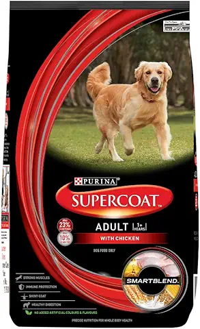 61g23-1MC2L._AC_UL480_FMwebp_QL65_