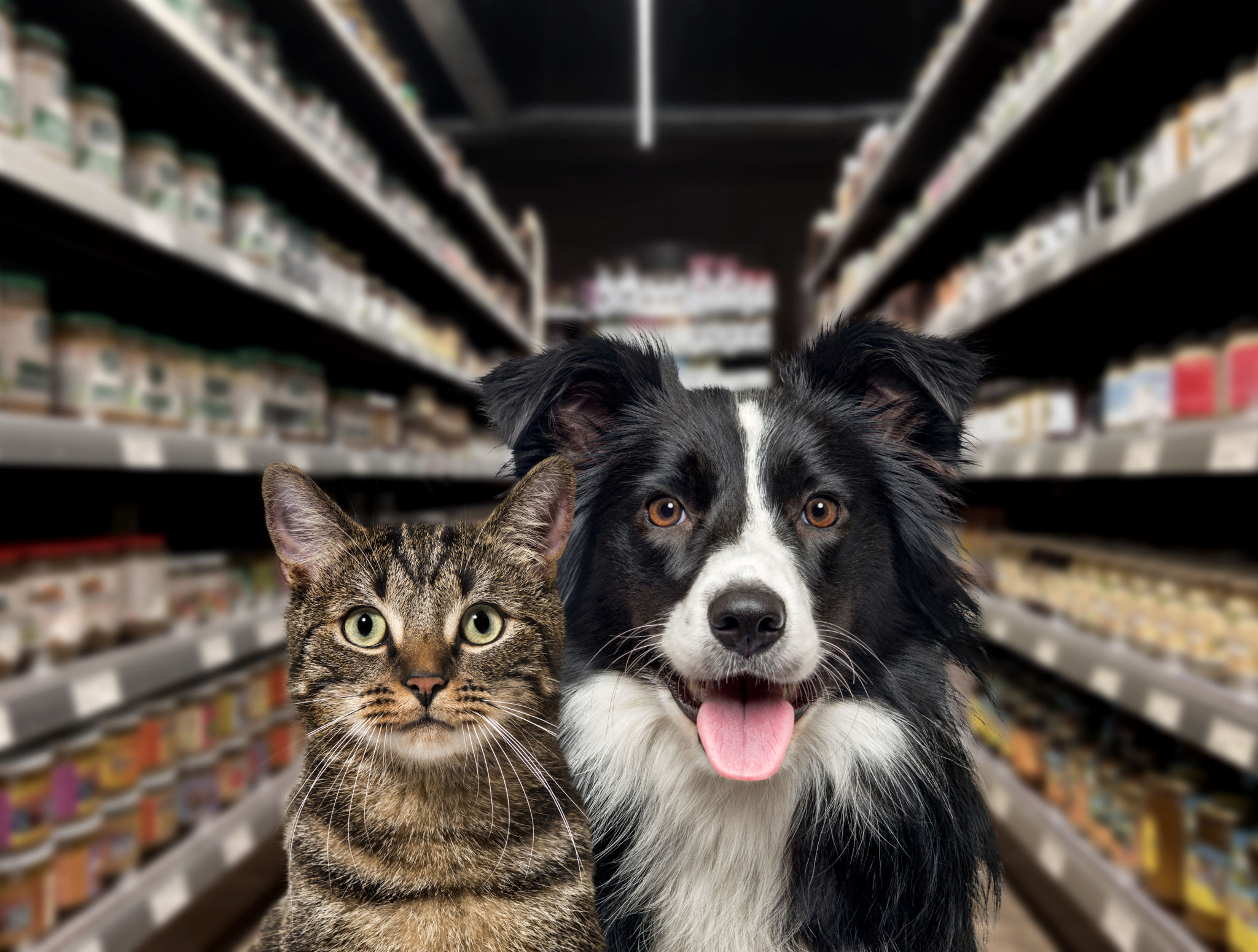 Pet food and supplies